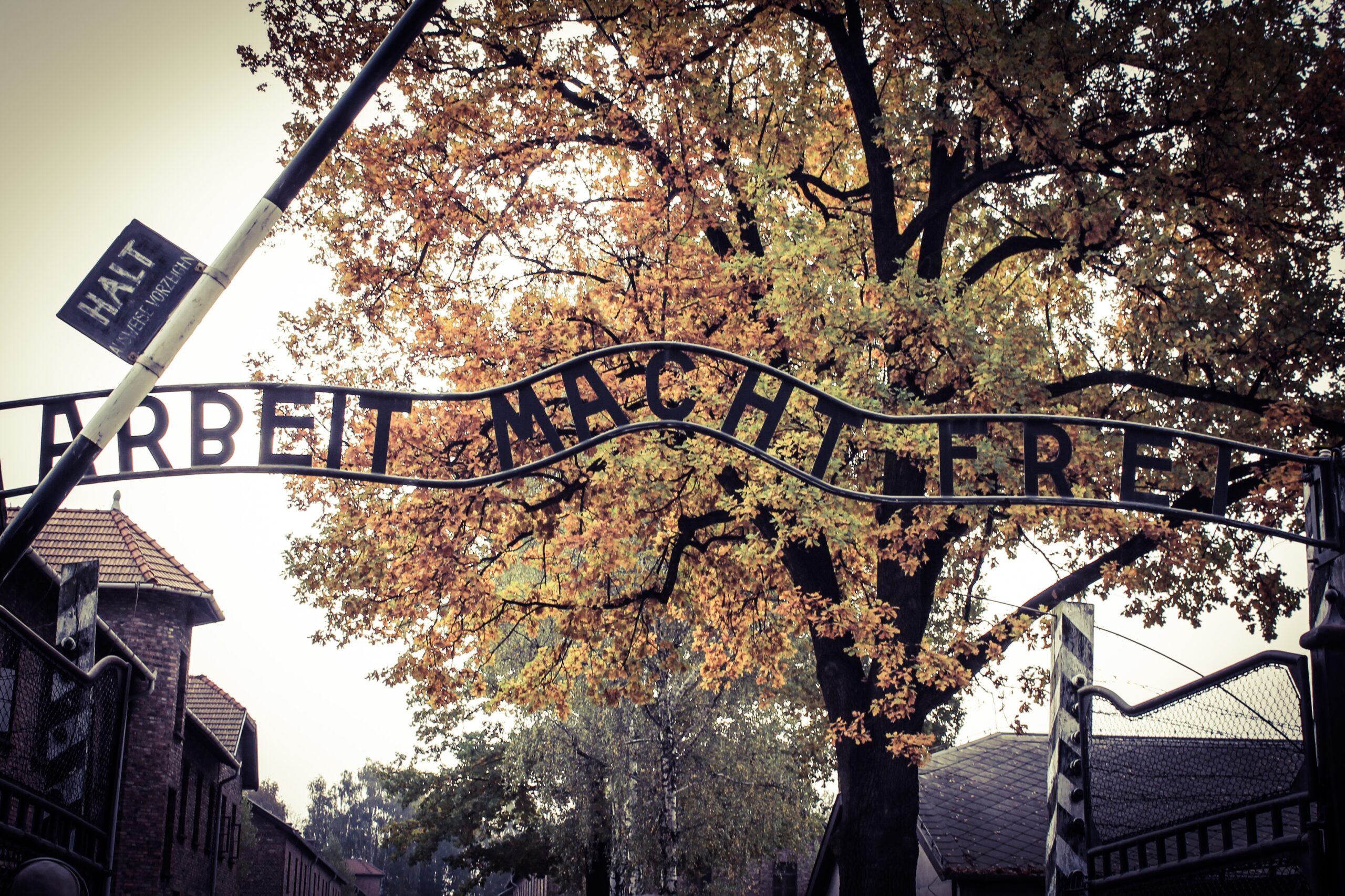 Auschwitz i Birkenau