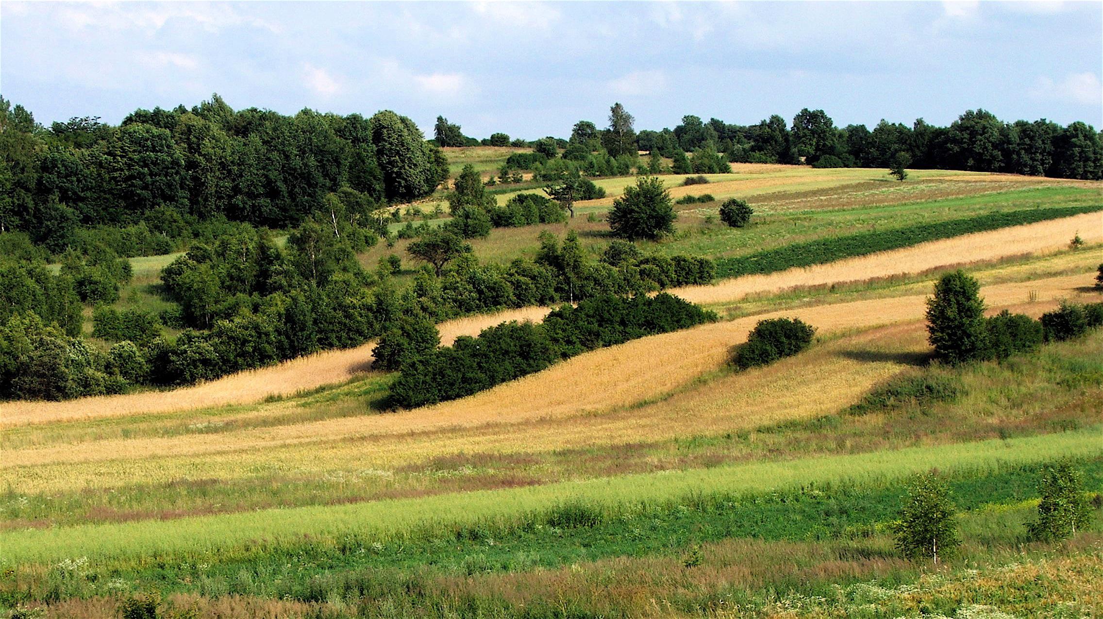 Polska - Roztocze