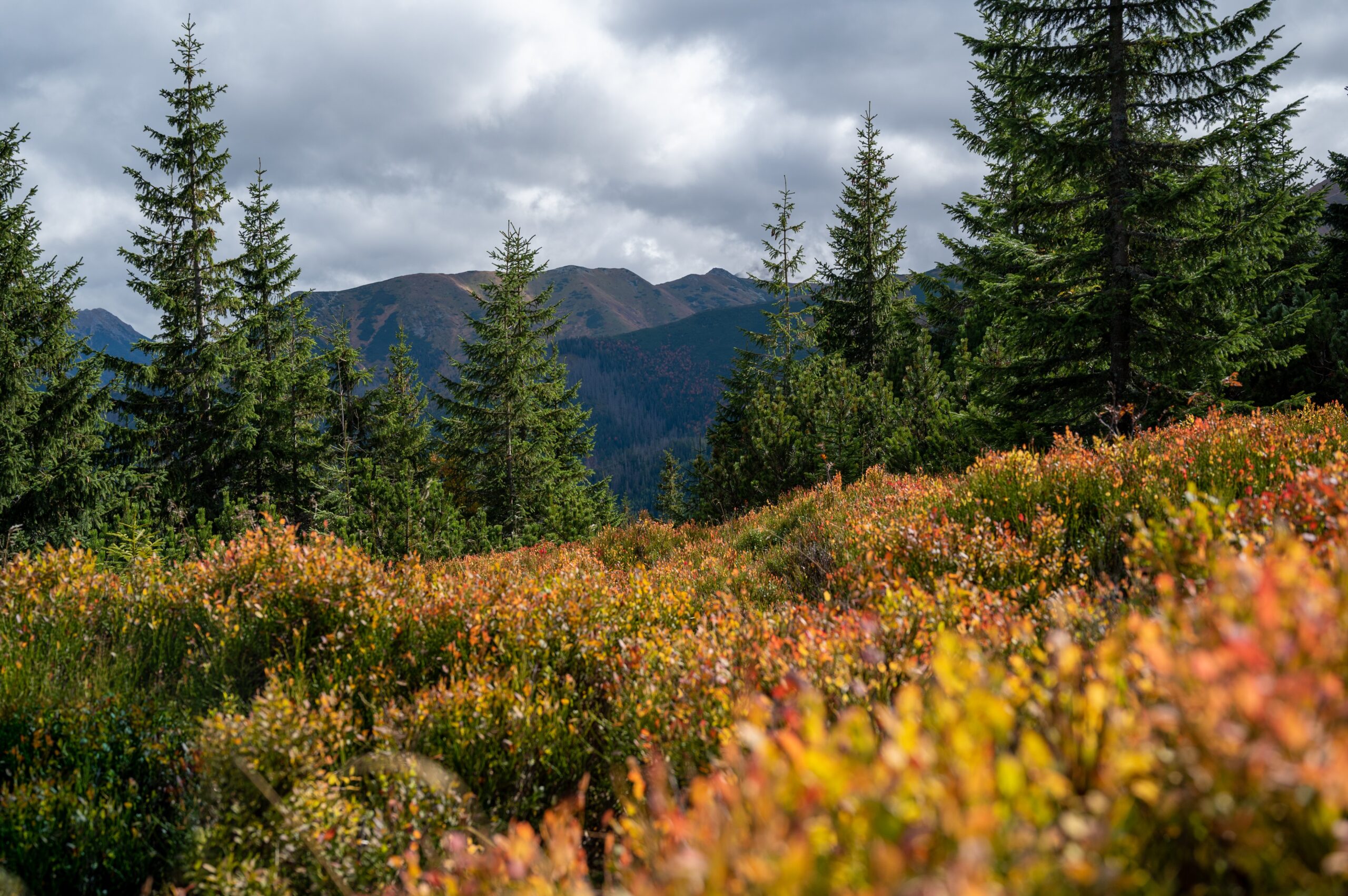 Polska - Tatry