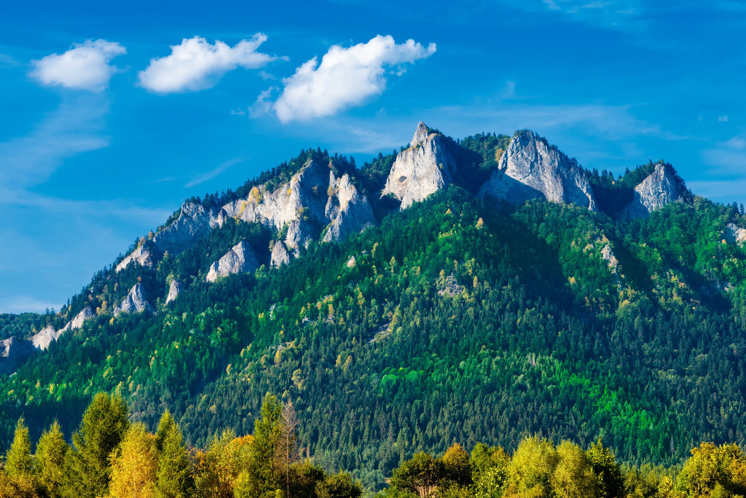 Polska - Pieniny