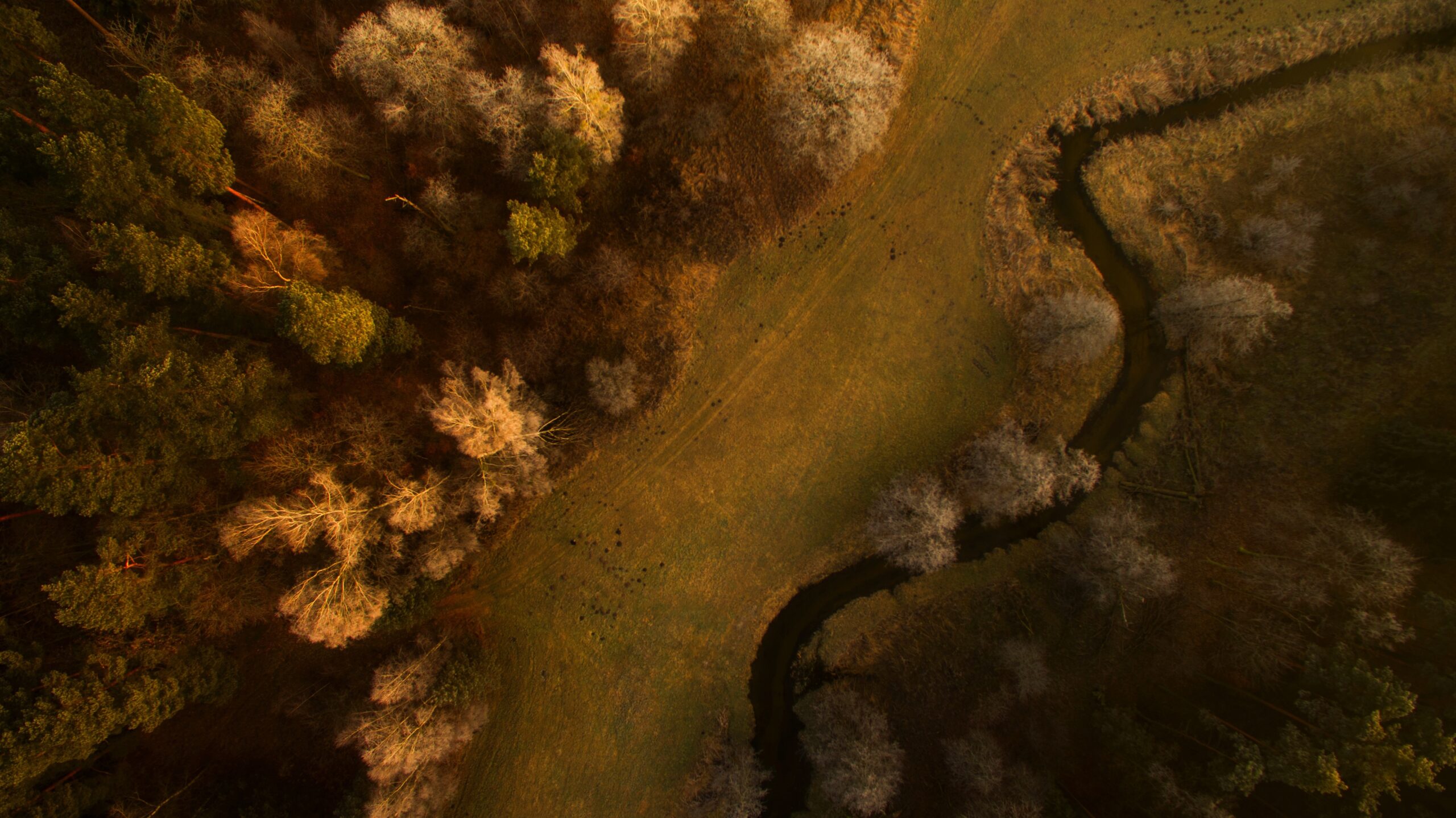 Polska - Mazury