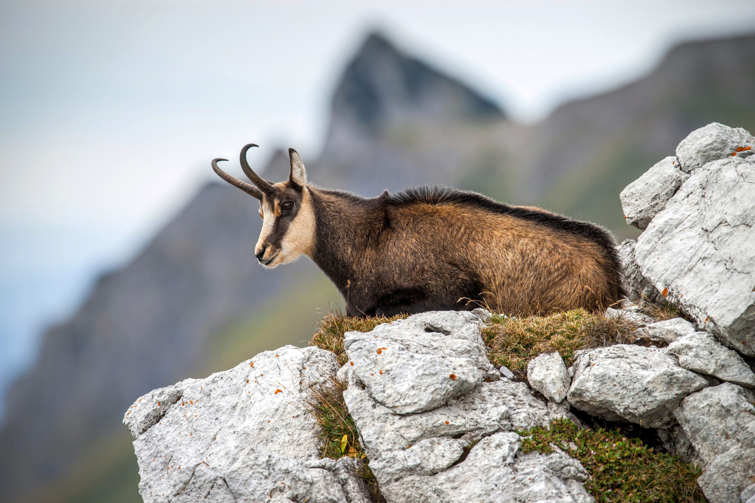 Polska - Tatry